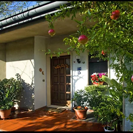 B&B Oasi di Venezia-2